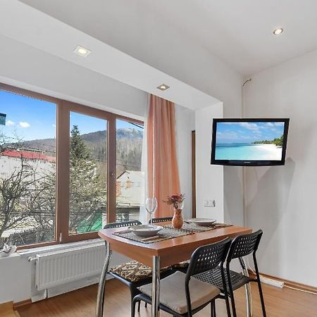 Apartmán Cozy Montain Studio Sinaia Exteriér fotografie