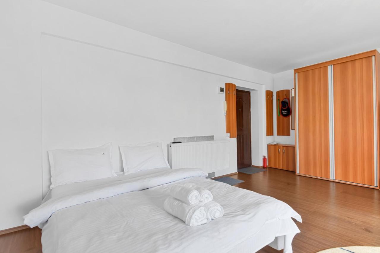 Apartmán Cozy Montain Studio Sinaia Exteriér fotografie
